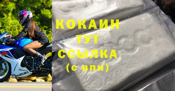 стаф Нефтегорск