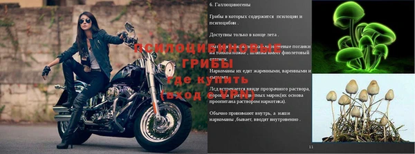 марки lsd Нефтекумск