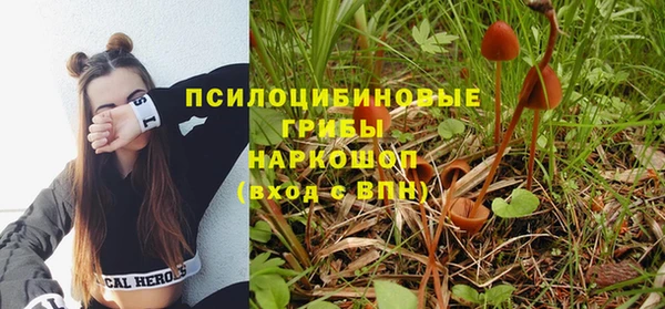 стаф Нефтегорск