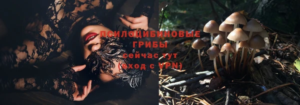 стаф Нефтегорск