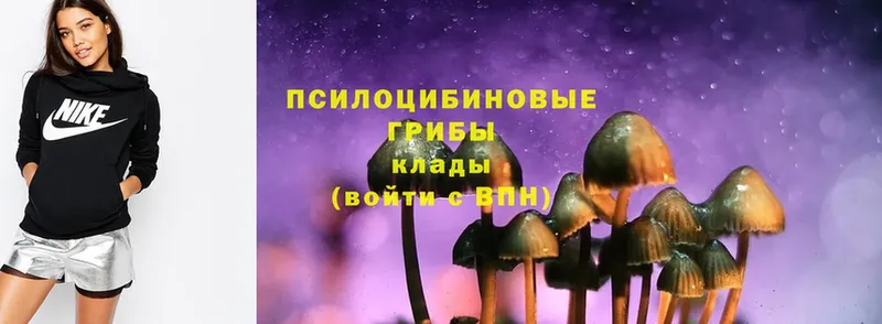 Псилоцибиновые грибы MAGIC MUSHROOMS  ссылка на мегу tor  Остров 